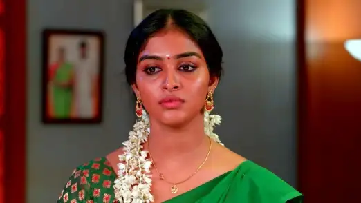 Nilla Puja' at Karthikeyan's House Episode 80