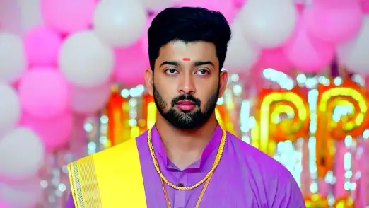 Madhavan Rescues Vaidehi Episode 267