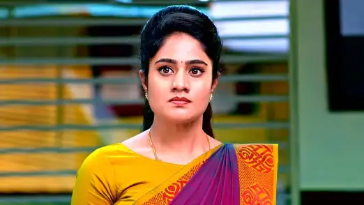 Akshara and Aravind Catch Raghu Episode 1052