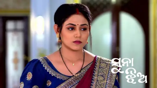 Rajeshwari Lies to Gita Episode 315