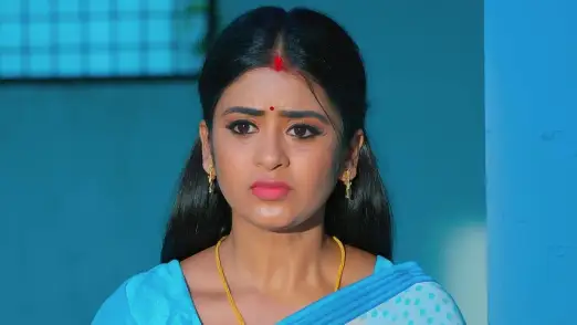 Arvinda Opposes Bhagyalakshmi's 'Vrata' Episode 197