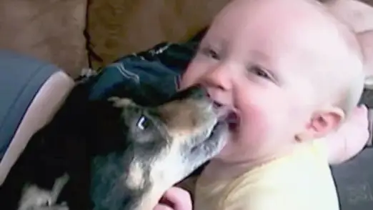 Top 10 Funny Videos with Kids and Pets Season 1 Episode 9