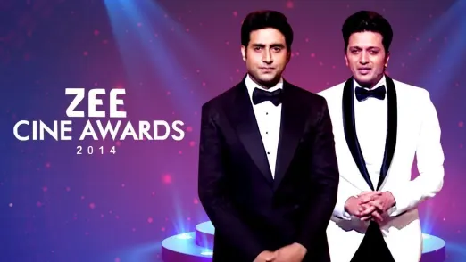 Zee Cine Awards 2014 TV Show