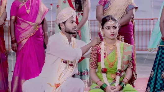 Paaru TV Serial Watch Paaru Online All Episodes 1 1385 on ZEE5