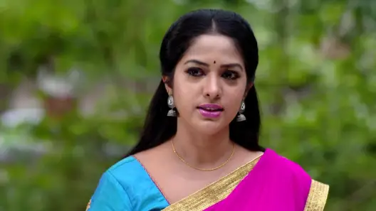 Seetha serial today episode online sales