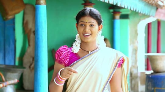 Watch Aranee Sundari Tv Serial From Zee Keralam Online Zee5 I had missed several film projects because of ayalathe sundari.