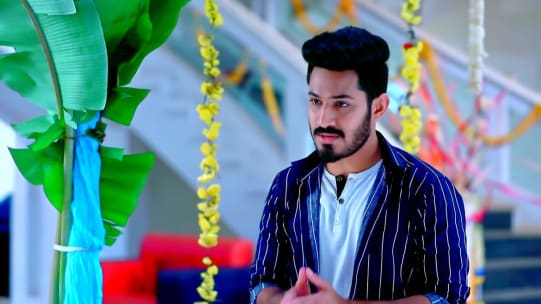 Watch Naagini 2 Tv Serial Trailer Of 5th March 2021 Online On Zee5 Www vadamalli.com (nov 2020) know the pros of this website >> this article tells you about an online streaming service for malayalam tv shows and also outlines its reviews. watch naagini 2 tv serial trailer of
