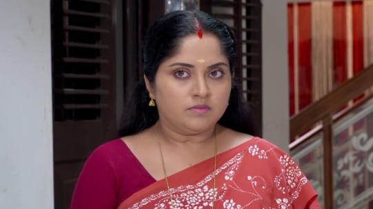 Karthika Deepam Malayalam Serial Actress Vijitha Meghna vincent is famous malayalam and tamil serial actress mainly known for her roles in chandanamazha serial in asianet and daivam thantha veedu aired on vijay tv. blog