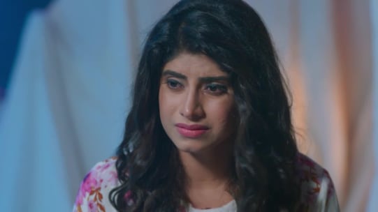 Watch Fear Files Darr Ki Sacchi Tasveerin Tv Serial Webisode Of 14th July 2018 Online On Zee5 Fear & greed is cnnmoney's investor sentiment tool that comprises of 7 markets indicators. watch fear files darr ki sacchi