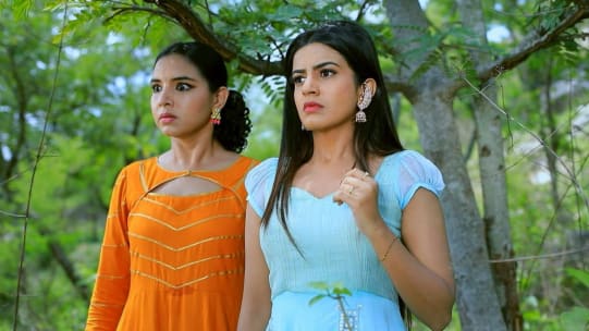 Watch Nagini Jul 24 2020 Full Episode Online In Hd Zee5 Bo'lingan xorazmlik lashkarlarning harbiy qo'mondonlari o'z hukmdorining muvaffaqiyati haqida eshitib, g'aznaga to'plana boshlaydi va tez orada, jaloliddin ko'l ostida 70 mingga yaqin askar yig'iladi. zee5