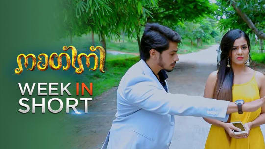 Schauen Sie Nagini September 17 2020 Best Scene Online In Hd Nur Auf Zee5 Actor jayaram karthik in shubhodaya karnataka | dd chandana. zee5