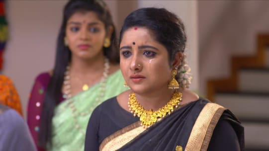 Www Ddmalar Com Serial Chembarathi Watch latest zee keralam serials & shows full episodes online on zee5 app. blog