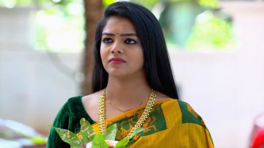 Watch Chembarathi Jan 7 2020 Full Episode Online In Hd Zee5 Sembaruthi tamil serial on zee tamil: chembarathi jan 7 2020 full episode