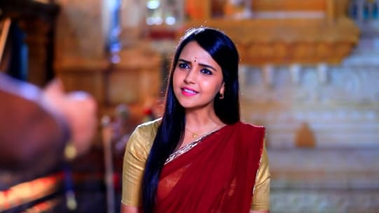 Watch Gattimela Aug 10 2020 Full Episode Online In Hd Zee5 In Subscribe & watch full episodes before tvzee5 : zee5