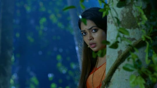 Watch Pookalam Varavayi Jan 15 2020 Full Episode Online In Hd Zee5 In Pookalam varavayi serial today episode |pookalam varavayi serial latest episode. zee5