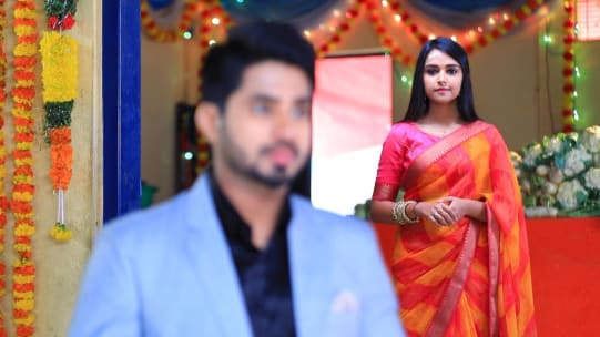 Watch Gattimela Tv Serial 30th December 2020 Full Episode Online On Zee5 Hi, gattimela kannada serial is the popular kannada serial of zee kannada and zee kannada hd live channels. watch gattimela tv serial 30th december