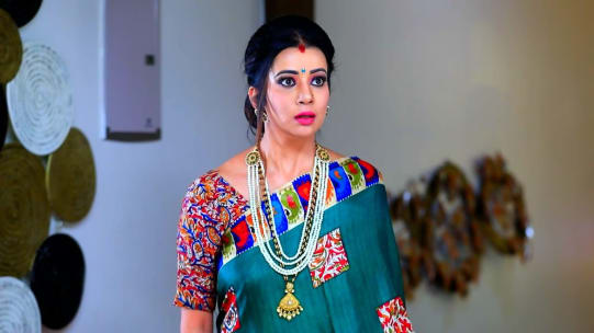 Watch Gattimela Oct 9 2019 Full Episode Online In Hd Zee5 'the serpent' producer mammoth screen develops slave uprising tv series based on sudhir hazareesingh's 'black spartacus' 01 march 2021 | deadline. watch gattimela oct 9 2019 full