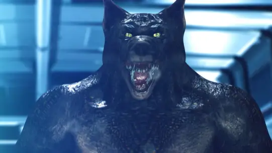 Watch Haiwaan Tv Serial From Zee Tv Online Zee5 Sanam marvi & jabbar abbas lyrics : watch haiwaan tv serial from zee tv