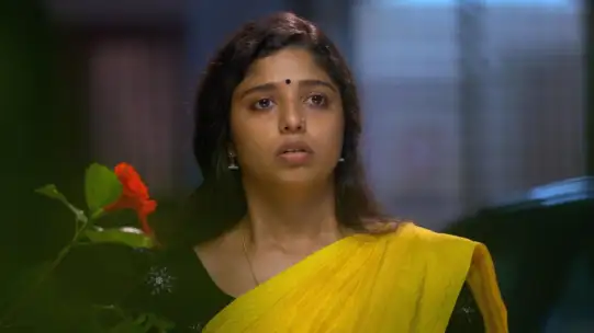 Www Ddtamil Com Malayalam Movies Google Search Watch tamil movies, tamil dubbed movies, listen to online radio, make new friends all at 1tamilcrow.com. 45 77 17 21