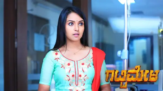 Watch Enjoy All The Episodes Of Gattimela Tv Serial Online On Zee5 Gattimela serial actor/actress education qualification #amulya #vedanth note:this video on the education purpose do not. episodes of gattimela tv serial online