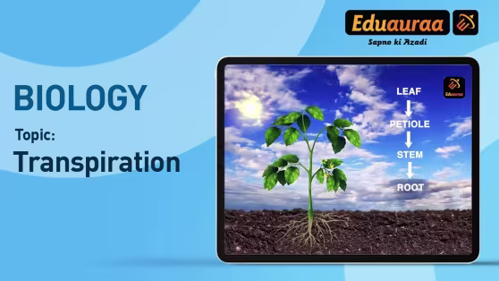 Transpiration in Plants
