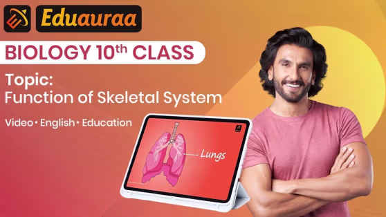 The Functions of the Skeletal System