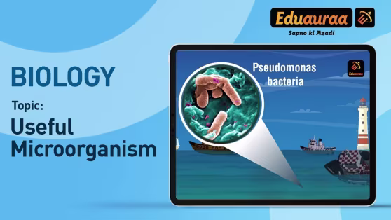 Useful Microorganisms