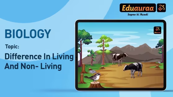 The Differences Between Living and Non-Living Things