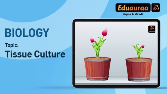 Plant Tissue Culture