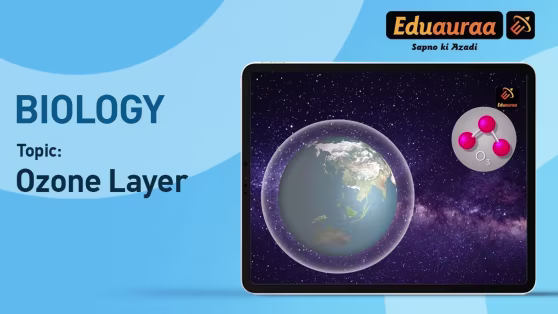 The Ozone Layer