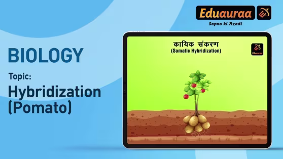 Hybridization and Micropropagation