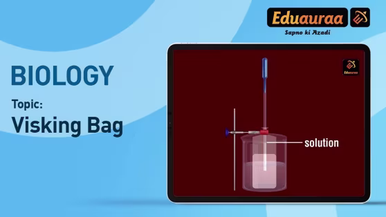 Visking Bag