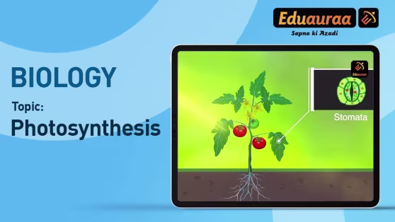 Photosynthesis in Plants