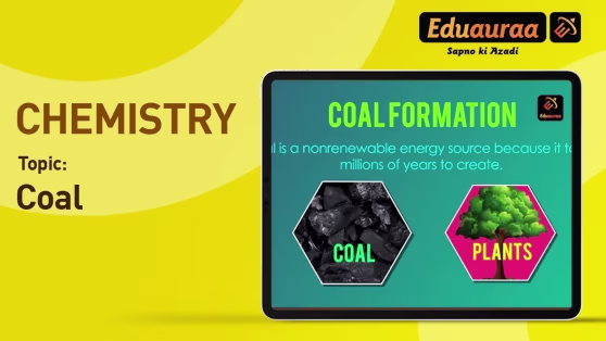 Coal