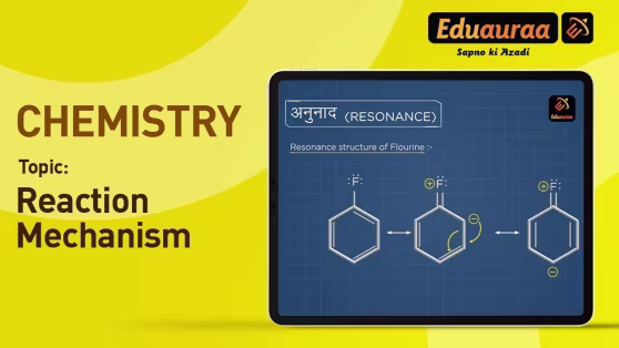 Reaction Mechanism