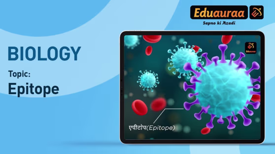 Epitope