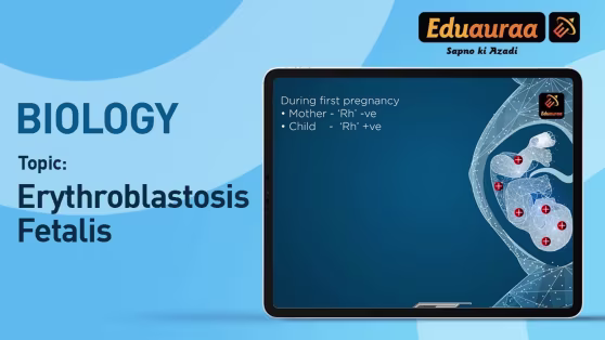 Erythroblastosis Fetalis