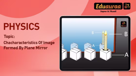 MCQs on Reflection from a Plane Mirror
