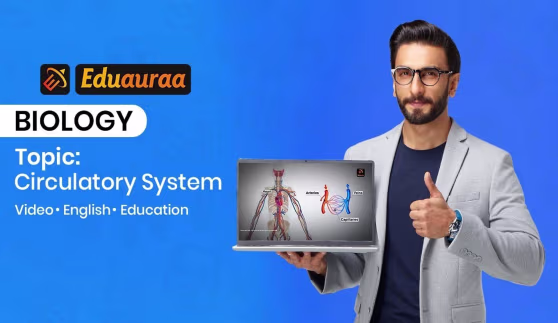 Circulatory System
