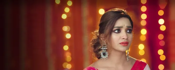 Meri Hanikarak Biwi Meri Hanikarak Biwi