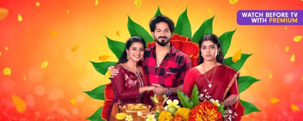 Serials6pm chembarathi hotsell
