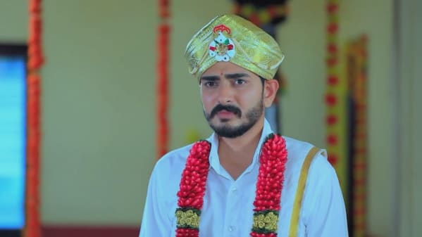 Watch Subbalakshmi Samsara Nov 25 2019 Full Episode Online In Hd Zee5 Ms dhoni full movie|sushant singh rajput blockbuster movie|f.