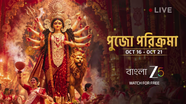 Durga's Krishna-Kali Form at 41 Pally