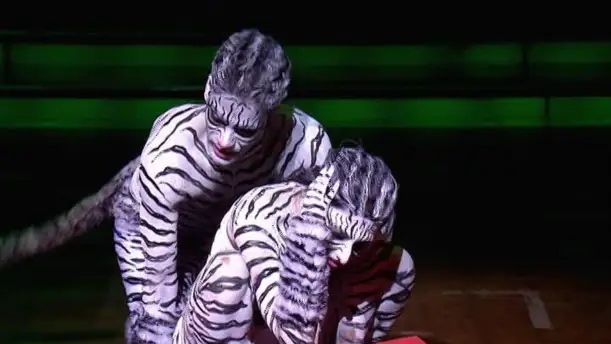 Episode 13 - Duo performances and double elimination - Dance India Dance Season 3 Episode 13