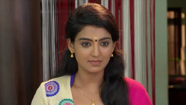 Vijitha's words terrify Radha - Karthika Deepam Episode 4