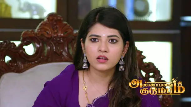 Annamalai's Decision Upsets Vanmathi Episode 254