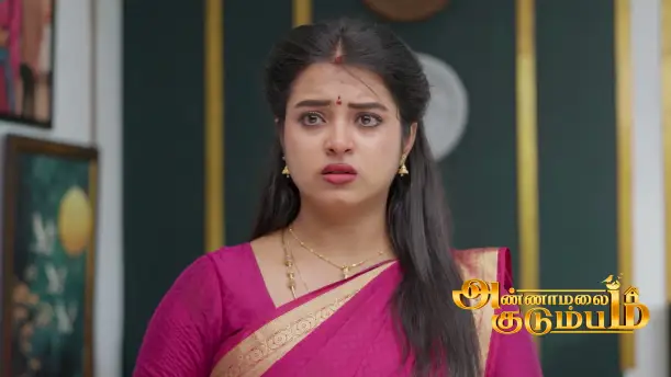 Varun Looks For Vennila Episode 267