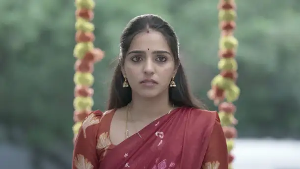 Meenakshi's Decision Stuns the Family Episode 219