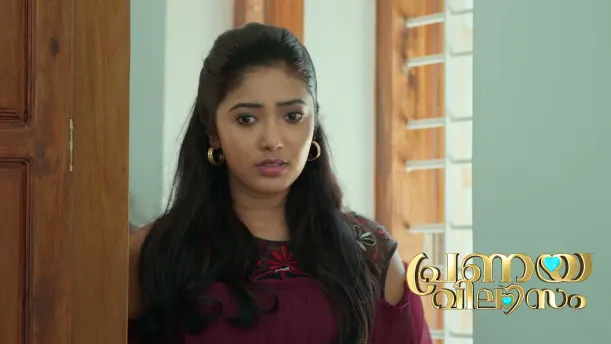 The Police Arrest Sreekuttan Episode 97