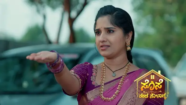Sevanthi Agrees to Marry Guna Episode 324